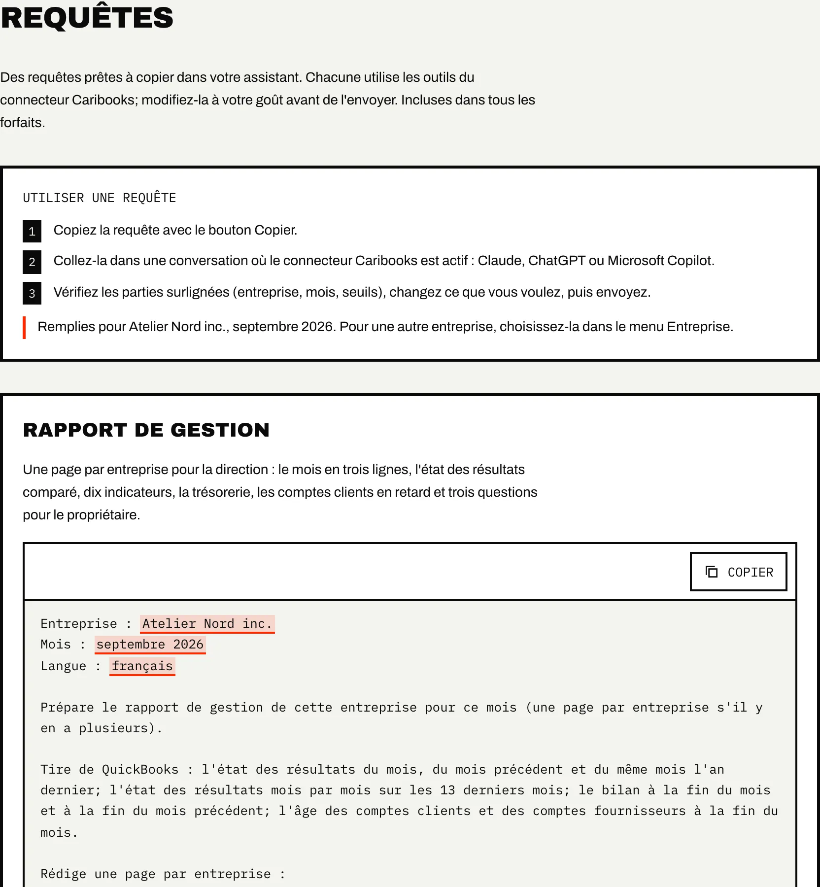 La page Requêtes : comment utiliser une requête, et la requête de rapport de gestion remplie pour une entreprise, avec son bouton Copier